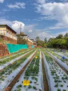 Khushi Riverside Resort & Spa - 9