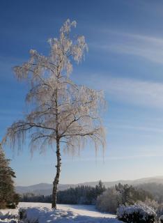 Gîte maison entière, piscine intérieure chauffée privée, proche Alsace - 7