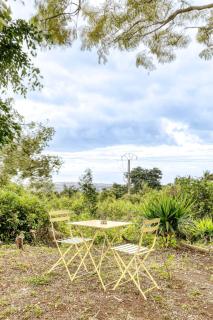 Villa Orange & SPA - 9