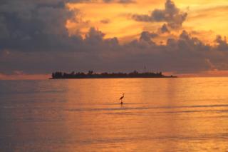 Kashiveli Omadhoo - 5
