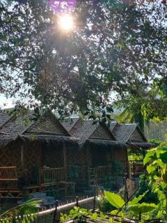 Bamboo House from Money House - 4