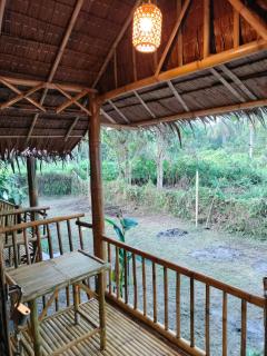 Bamboo House from Money House - 2