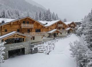 Alpine Creek Chalet - Ski-In Avoriaz, Morzine - 0