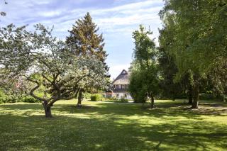 Reetdachhaus nahe der Ostsee mit Sauna und Garten - 9