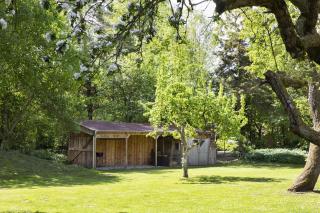 Reetdachhaus nahe der Ostsee mit Sauna und Garten - 1
