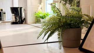 READ ALL ABOUT IT - Stylish Central Studio - 8