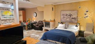 Daugava rrlux fire place free parking - 9