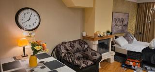 Daugava rrlux fire place free parking - 2