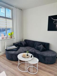 entzückende Ferienwohnung im Zentrum von Plauen - 9