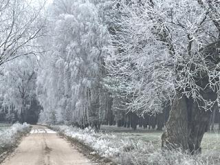Agroturystyka Hanka i Jurek - 9