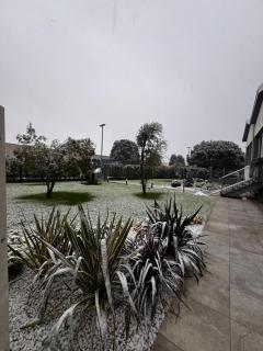 Royal Company Rooms - 7