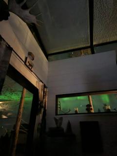 Levi Secret Igloo Revontuli - 7