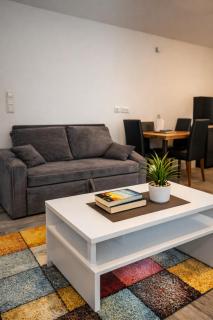 Geräumige Einzimmerwohnung in Quakenbrück - 0