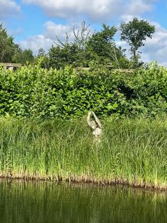 Landhaus Köhn - Ostholstein - 4