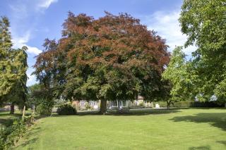 Pächterhaus - Ostholstein - 9