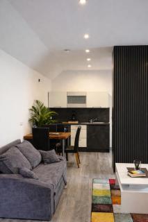 Geräumige Einzimmerwohnung in Quakenbrück - 1