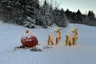 Mountain Chalet & Spa Makov Hrib - 4