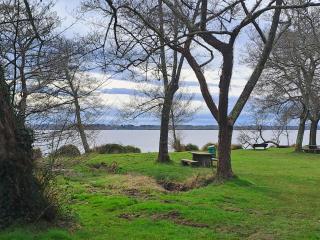 mobil home Confort Landes 38m2 - 9