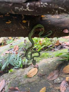 FeelATHome STAY - Near sinharajaya - 3