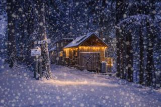 Das Tree Haus by NW Comfy Cabins - 0