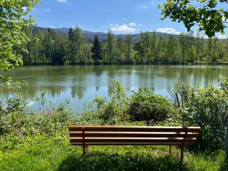 Haus 23 Seeblick - 8