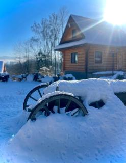 Domki Na Wypasie - Skibus przy domku - 6