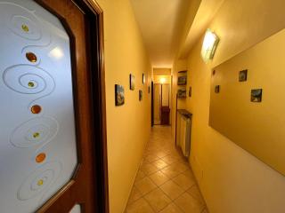 Cassiopea - 7
