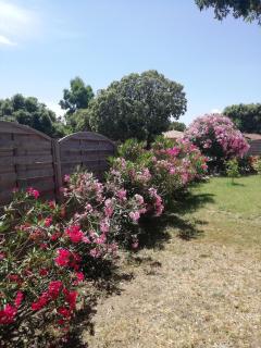 Villa sur Travo , Solenzara - 1