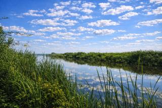 Pean-buiten Weidum - 1