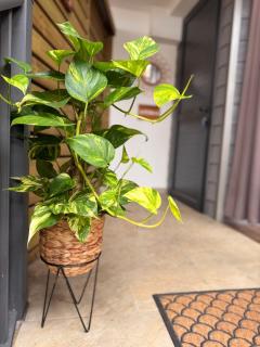 ATÈRLA - Appartement de charme et SPA privée - 7