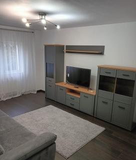 Apartament frumos Arena Mall - 2