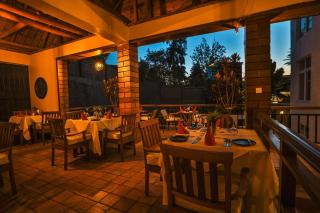 Cozy safari hotel by Signature - 5