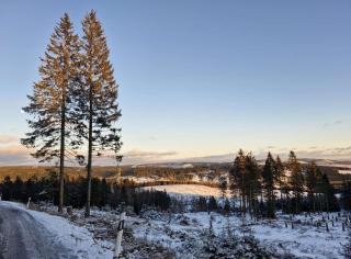 Ferienwohnung Am Blessberg in Stelzen - 4