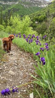 Refuge de La Sablière - 3