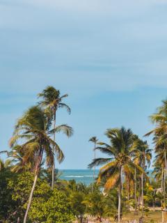 Icaraizinho House - 2