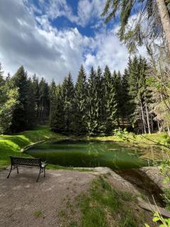 Zelená chalupa pod Klínovcem - 8