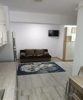 Central Apartment Bacău - 2