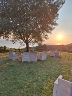 Il Cerro Agriturismo Zagarese - Fuscaldo - 3