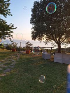 Il Cerro Agriturismo Zagarese - Fuscaldo - 9