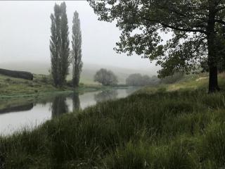 Tin Can Glamping Caravan - 8