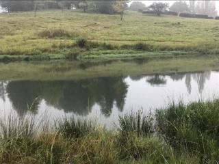 Tin Can Glamping Caravan - 3