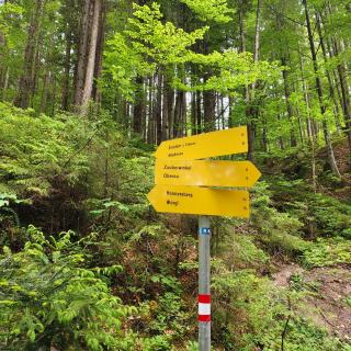 Ferienwohnung Pusteblume4 - 9