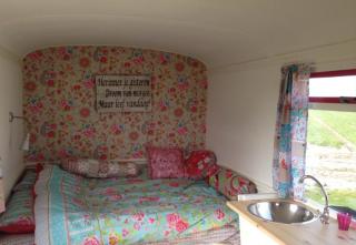 Boerencamping Duinzoomhoeve - Pipowagen - 6
