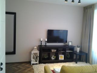 Luxury Apartment - Druskininkai - 2