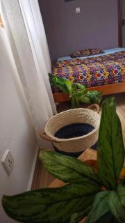 Stay with STEFFI - 3