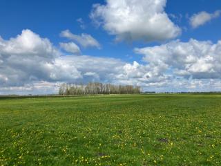 Ferienwohnung Bruns - 2