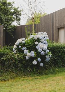 wecamp Cudillero - 4