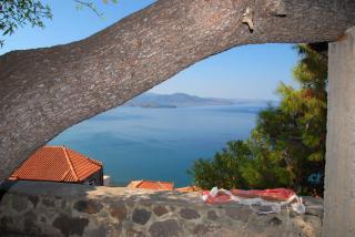 Heaven Nest - Mythimna - 4