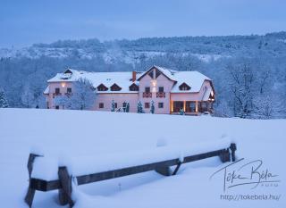 Borhotel Sziluett Farkasmály - 0