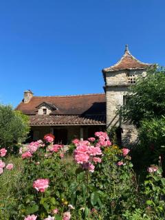Le Gîte Pérard - Caylus - 7